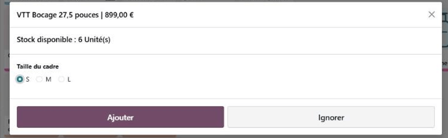 Fenêtre Odoo affichant la taille du cadre et le stock disponible au moment de la vente